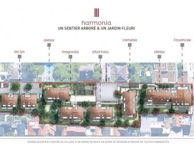 Plan masse Harmonia